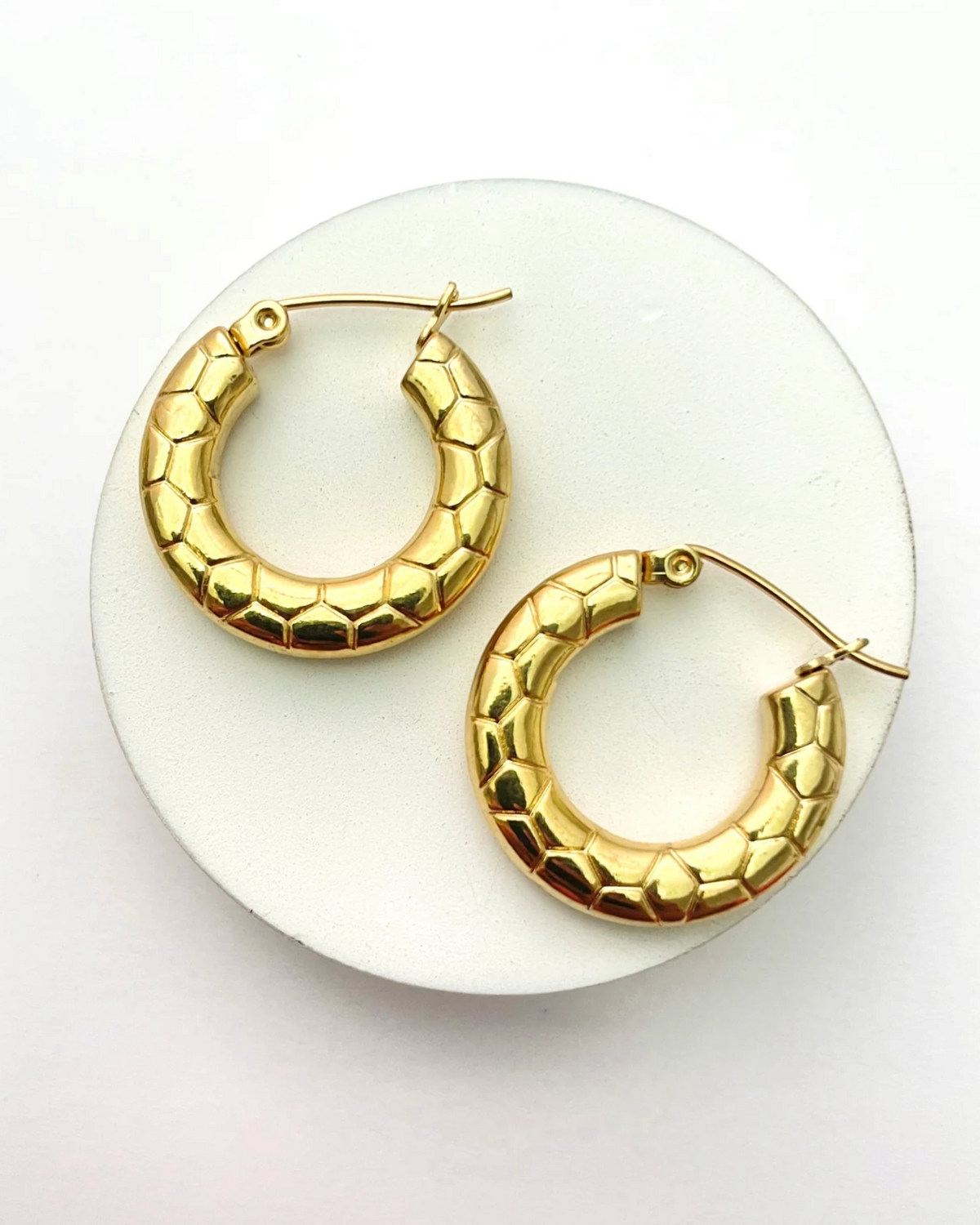 Minimal Stainless Steel Hoop Earrings